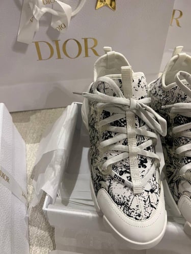 Dior sneakers