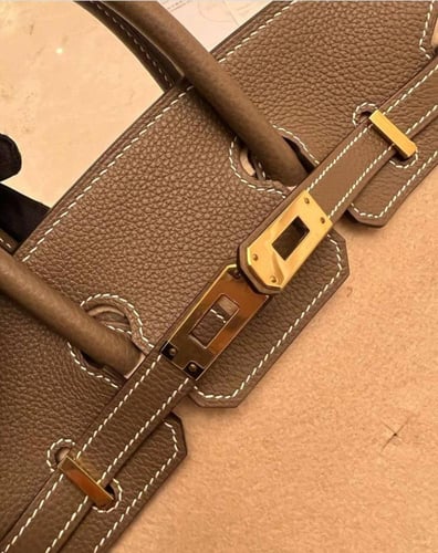 Hermes Eucalyptus Togo Leather Birkin 25 Bag