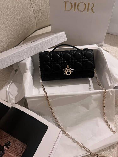 Dior small Bag