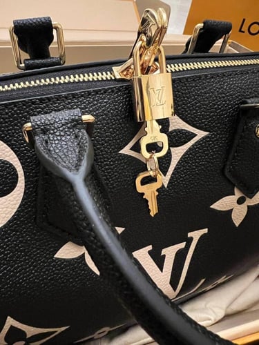 LV Riverside Damier Ebene LV Handbag