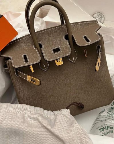 Hermes Eucalyptus Togo Leather Birkin 25 Bag