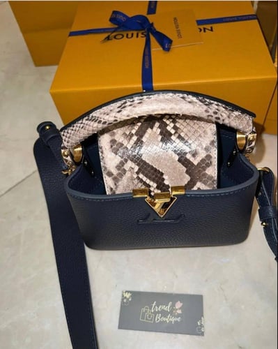LV Capucine Small Handbag