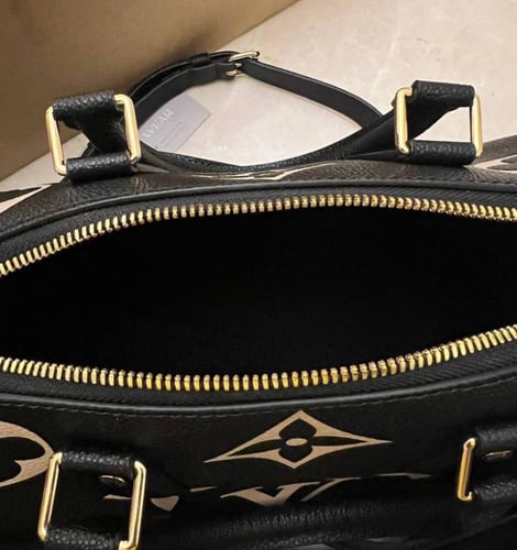 LV Riverside Damier Ebene LV Handbag