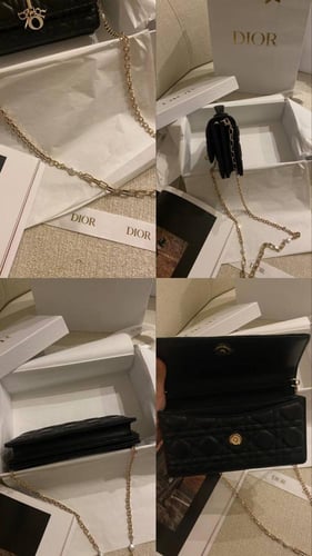 Dior small Bag