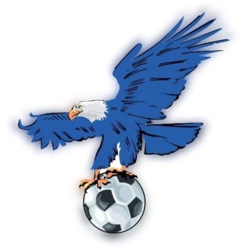 فولتشر 6 شهور