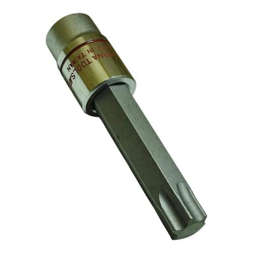 حبه راس مشرشر 55 ناعم تايون