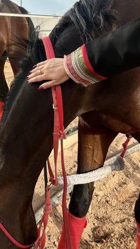 عباية كريب لمار واقف كوري بتدخيلات تفتة ميكادو