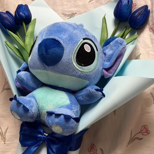 باقة ستيتش _ صغير