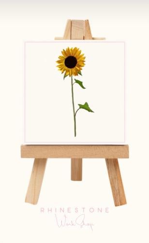 Sunshine - Medium size