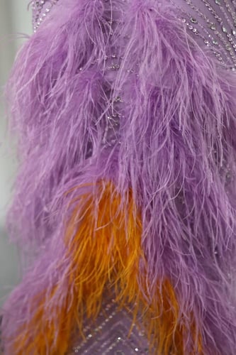 RC22 فستان بنفسجي شك مع ريش