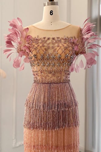 RC15 - فستان شك هدب طبقات مع ريش