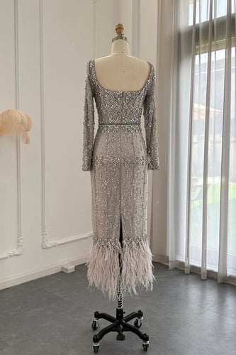 RC03 - فستان ريفيرا سقنيتشر فضي اكمام طويلة