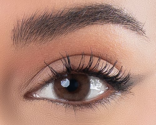 كايا ترند Kaya Trend