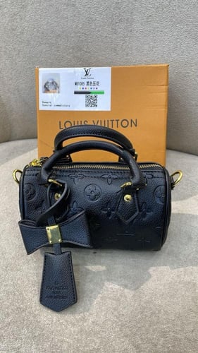 ‏Louis Vuitton 1
