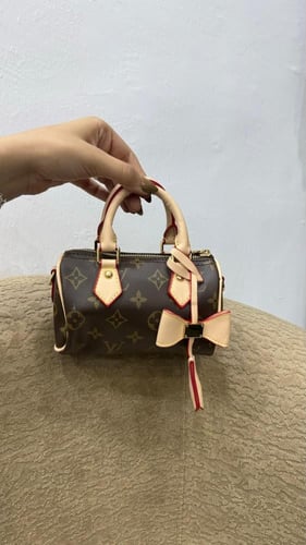 شنطة 2 louis vuitton