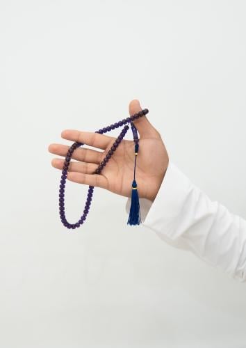 مسباح زعفران حرباء