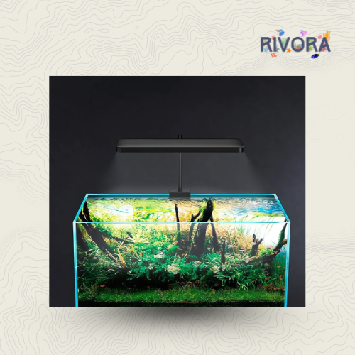 0FROK P2 Pro Nano LED – إضاءة البرو القوية لحوضك