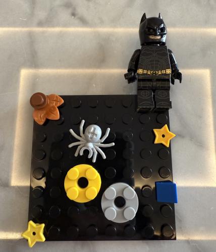 Lego case