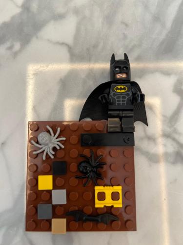 Lego case