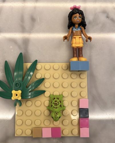 Lego case N22