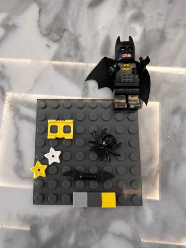 Lego case