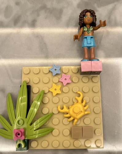 Lego case N17