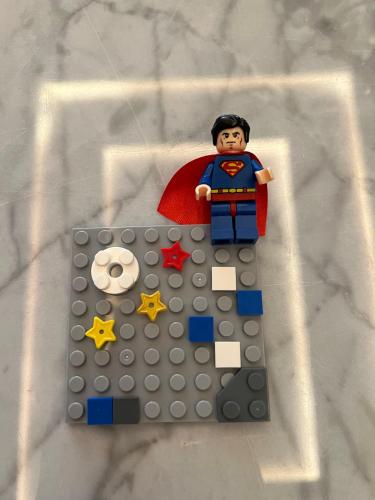 Lego case