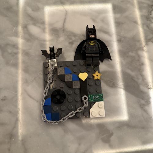 Lego case
