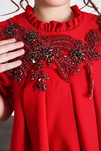 Red dress embroidery