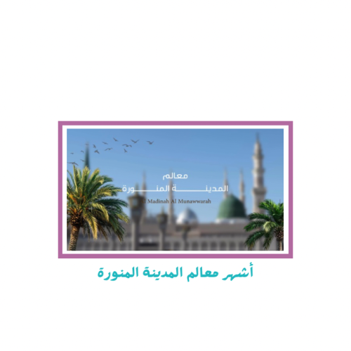 المدينة المنورة