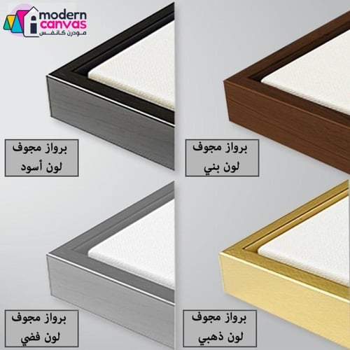 لوحه جدارية كانفس فن تجريدي