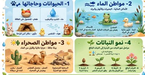 مطويات اول علوم