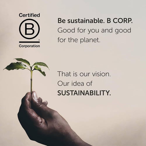 قهوة إيلي ديكاف خالية الكافيين مطحونة 250جم