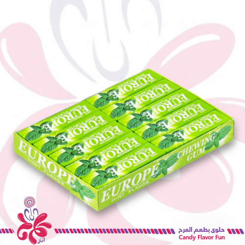 يوروب لبان بطعم النعناع 20*13جرام