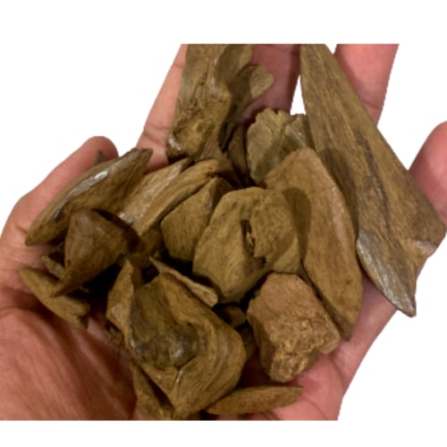 عود مروكي ميني دبل سوبر