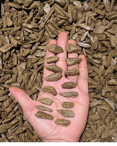 دقة مروكي محسن