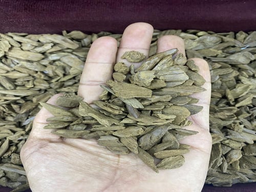 عود مروكي دقة دبل سوبر وسوبر مرتفع