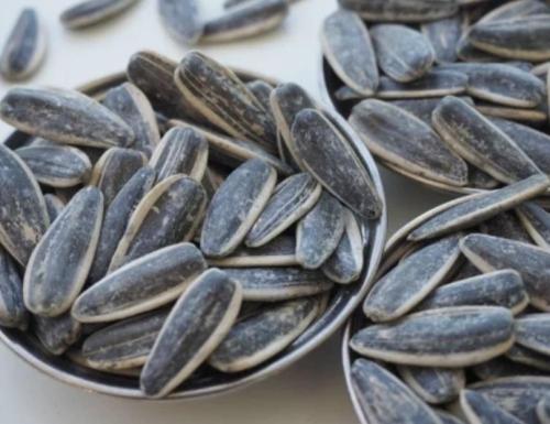 شمسي مالح كيلو