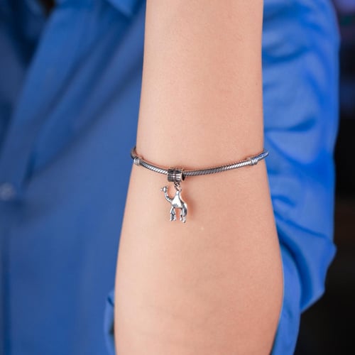 تعليقة ناقة