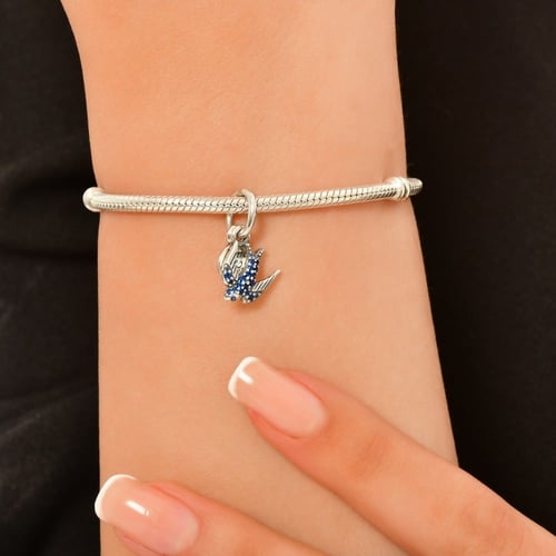 تعليقة النورس