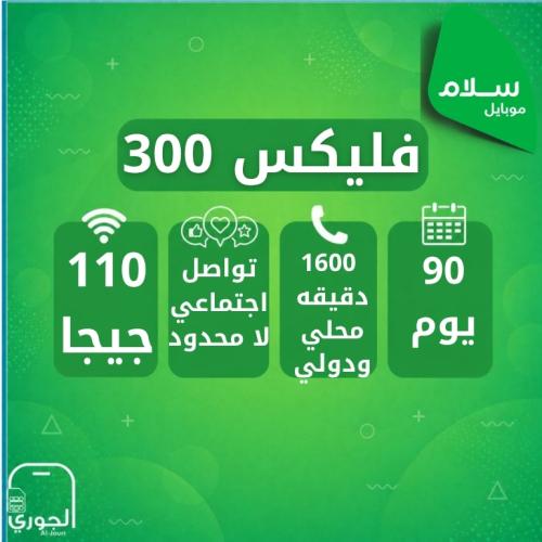 سلام سوبر فليكس 300 ( 110 جيجا + سوشال ميديا لامحد...