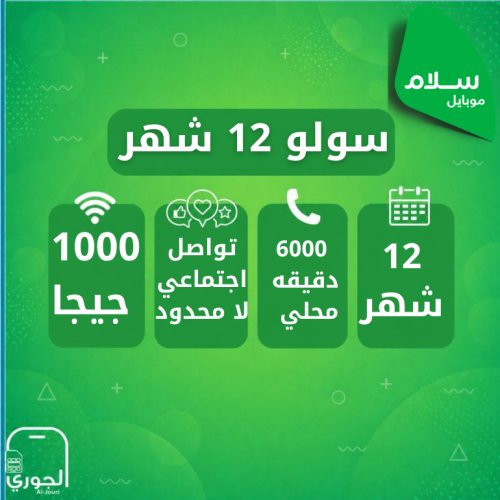 سولو 12 شهر ( 1000 جيجا + سوشيال ميديا لامحدود + 6...