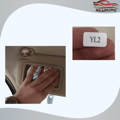 استكر شماسة اليارس ( YL2 )