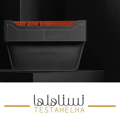 منظم مقاعد السيارة