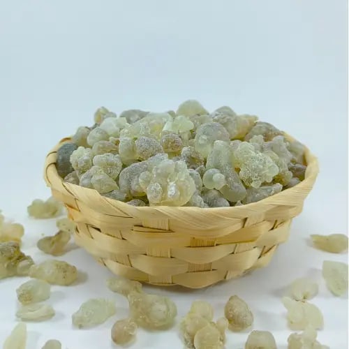 Omani frankincense, Hojari