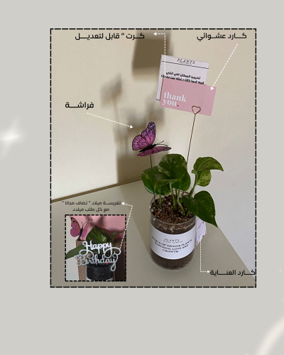 نبـته بوتس | لون بينك |