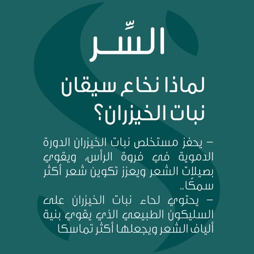 مجموعة سيمي ديلينو لإصلاح الشعر التالف (5 منتجات)