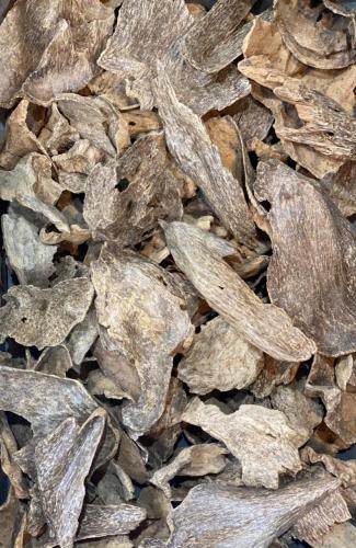 سيلاني فاخر