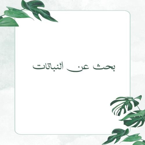 بحث عن النباتات PDF