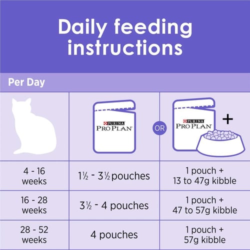طعام القطط برو بلان كيتن تندر مع الدجاج والجيلي